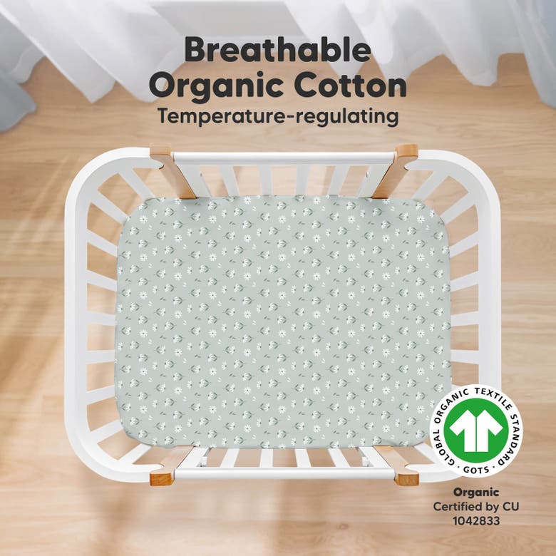 Keababies Soothe Fitted Mini Crib Sheet In Daisies