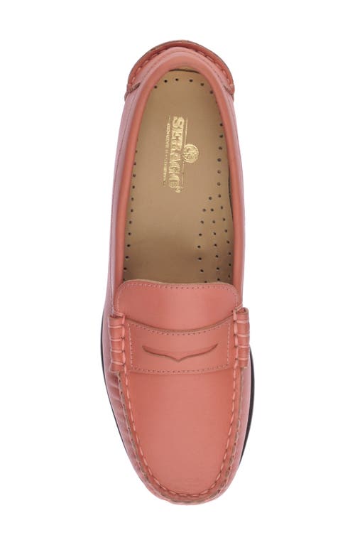 Shop Sebago Danielle Pop Loafer In Chiffon