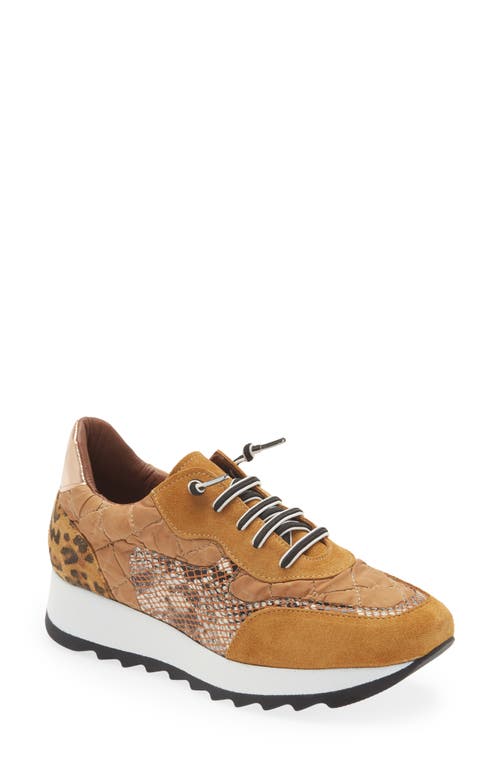 Cordani Lizzie Sneaker in Whiskey Suede