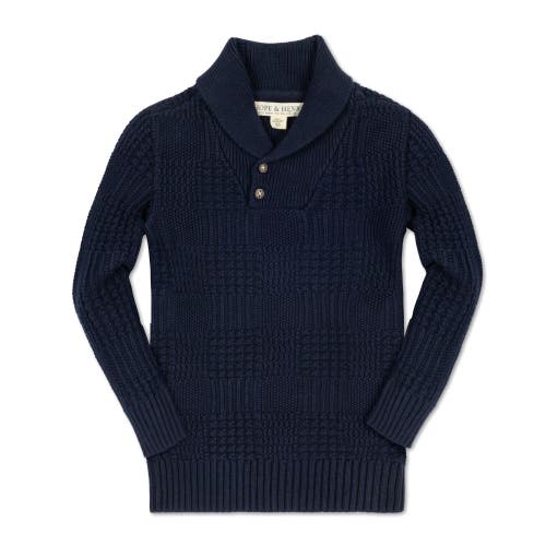 Hope & Henry Baby Boys' Organic Textured Shawl Collar Sweater, Infant In Navy Glen Plaid Texture