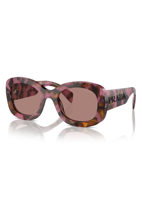 Prada 54mm Oval Polarized Sunglasses In Cognac Begonia/light Brown