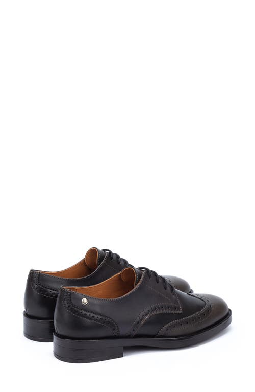 Shop Pikolinos Puertollano Wingtip Derby In Lead