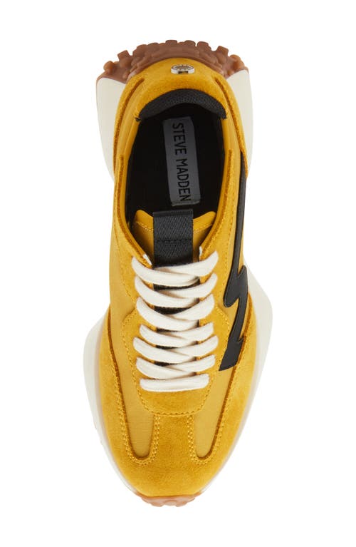 Steve Madden Campo Sneaker In Mustard