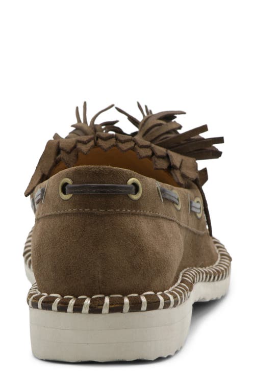 Charles David Poppy Kiltie Fringe Loafer In Dark Tan