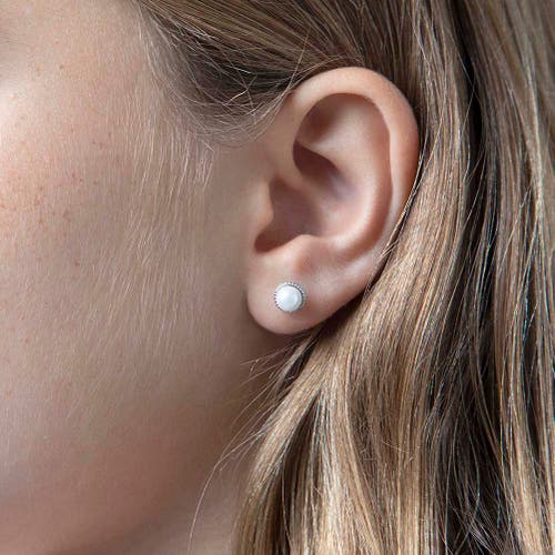 Shop In Season Jewelry Sophisticated Pearl Earrings In White