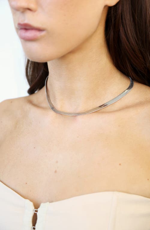 Shop Ettika Brooklyn Snake Chain Necklace In Rhodium