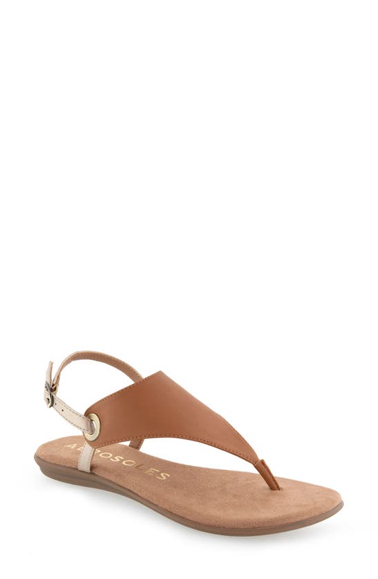 Shop Aerosoles Conclusion Slingback Sandal In Tan Combo