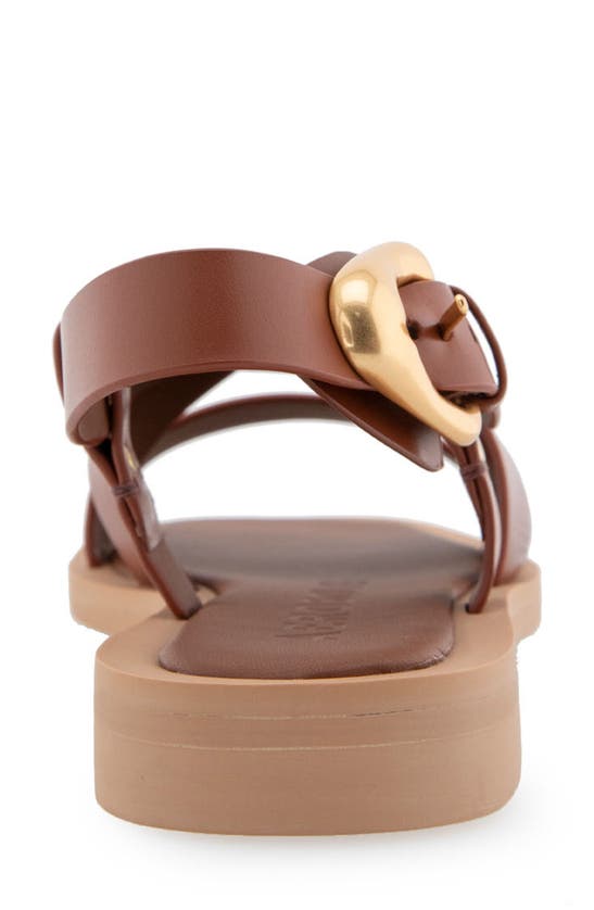 Shop Aerosoles St. Clair Sandal In Ginger Bread Leather