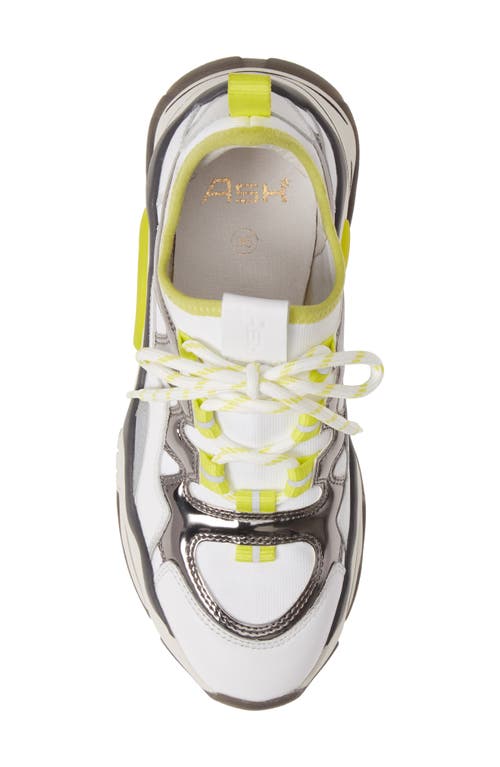 Shop Ash Bird Wedge Sneaker In White/metal/lime