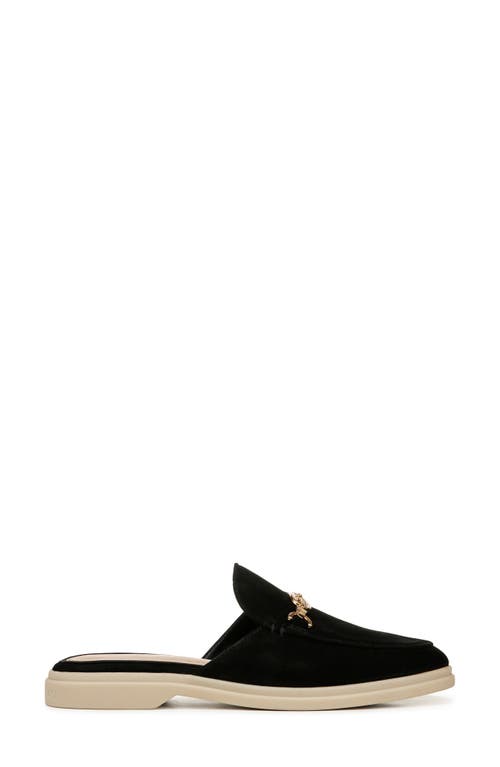 Shop Sam Edelman Kira Bit Mule In Black