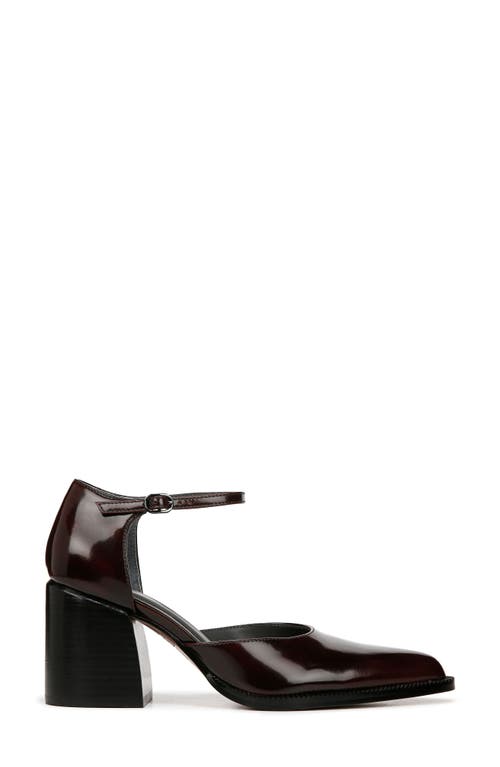 SARTO BY FRANCO SARTO SARTO BY FRANCO SARTO DIONA ANKLE STRAP POINTED TOE PUMP 