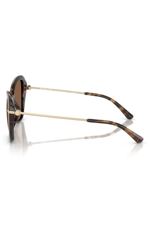 Michael Kors 56mm Butterfly Sunglasses In Dark Tort