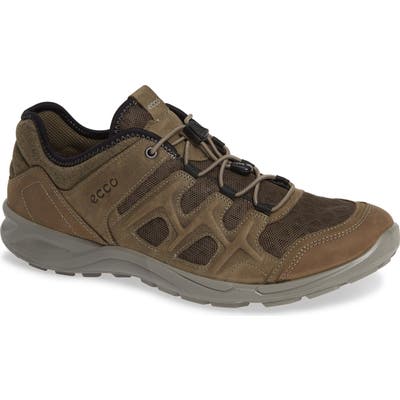 Ecco Terracruise Lt Sneaker - Brown