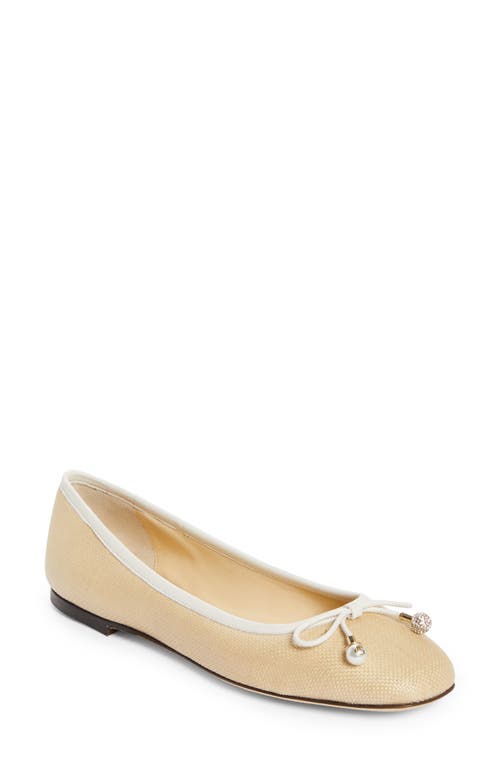 Shop Jimmy Choo Elme Raffia Flat In Natural/latte