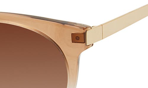 Isaac Mizrahi New York 52mm Round Sunglasses In Brown