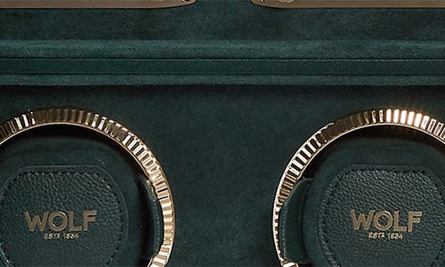 Shop Wolf British Racing Green 8-watch Winder & Case