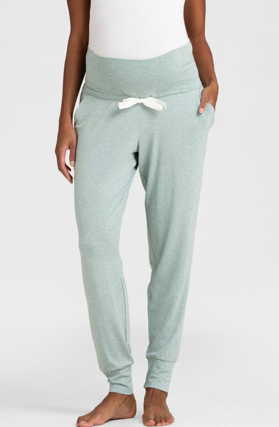 Shop Seraphine Assorted 2-pack Maternity Joggers In Navy & Sage