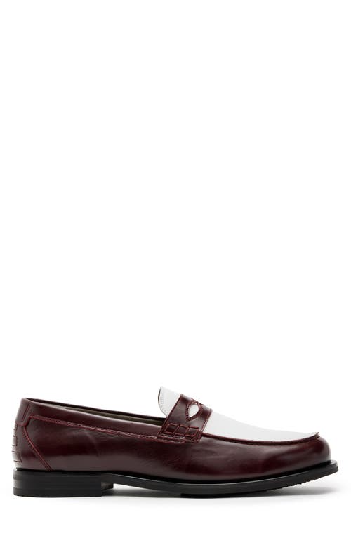 Shop Allsaints Harmon Penny Loafer In Winehouse Red/white