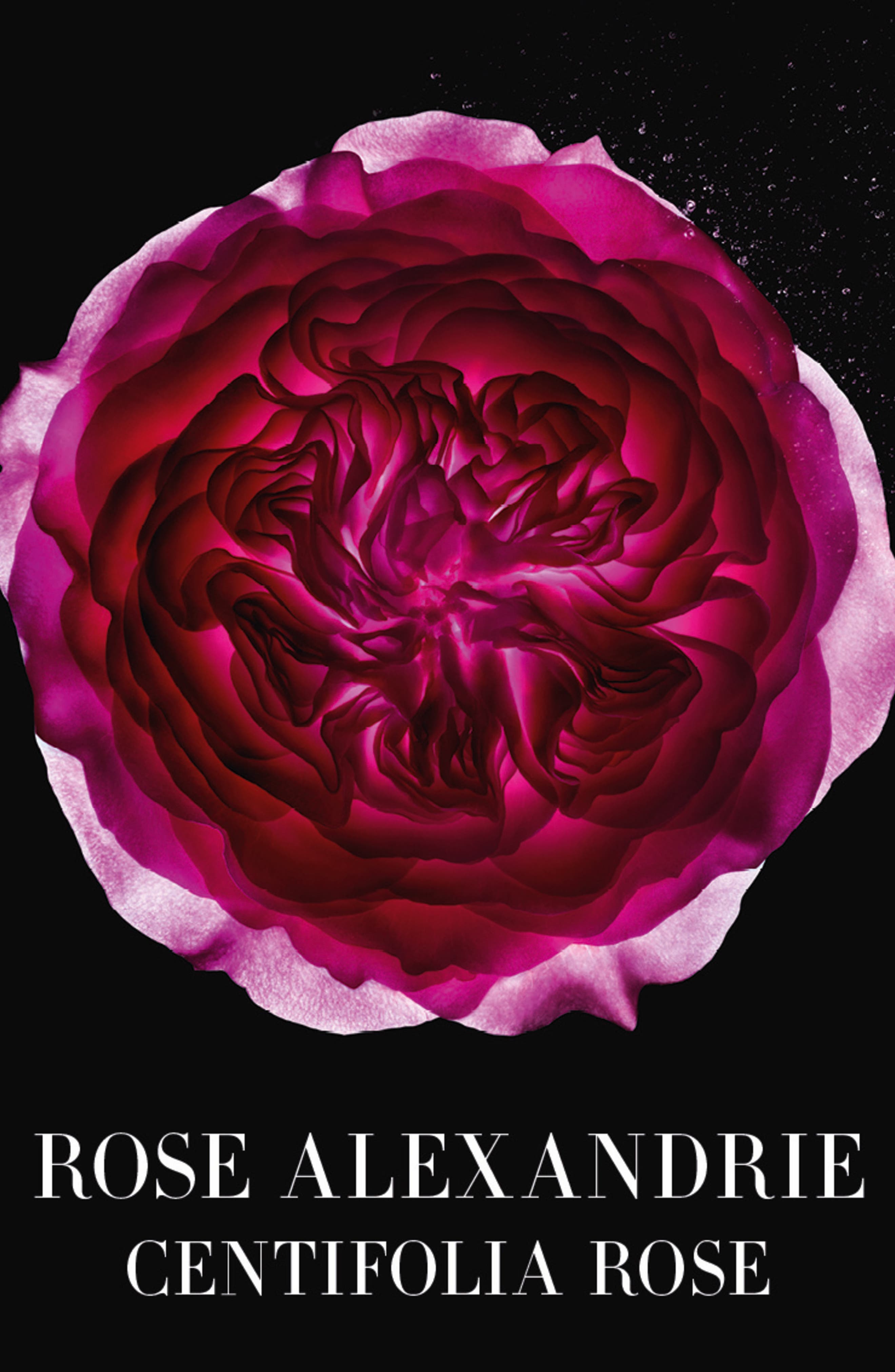 rose alexandrie giorgio armani