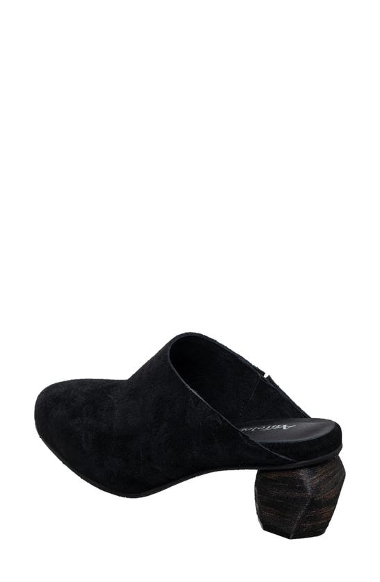 Antelope Peni Mule In Black Suede