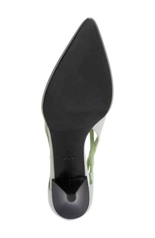 Shop Prada Runway Pointed Toe Pump In Acqua