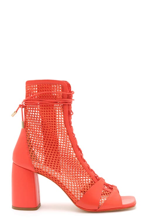 Shop Daniella Shevel Romi Bootie In Red