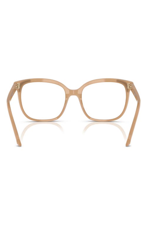 Swarovski 54mm Butterfly Optical Glasses In Beige