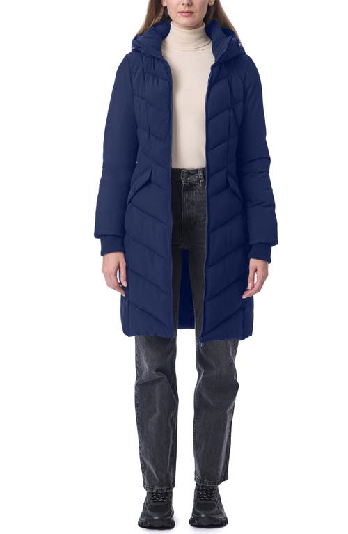 Shop Bernardo Hooded Walker Coat In Navy