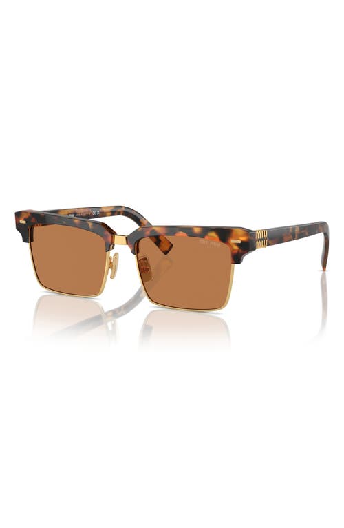 Miu Miu 54mm Square Sunglasses In Havana