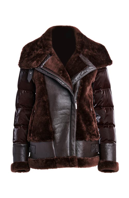 Dawn Levy Mel Coat In Chocolate