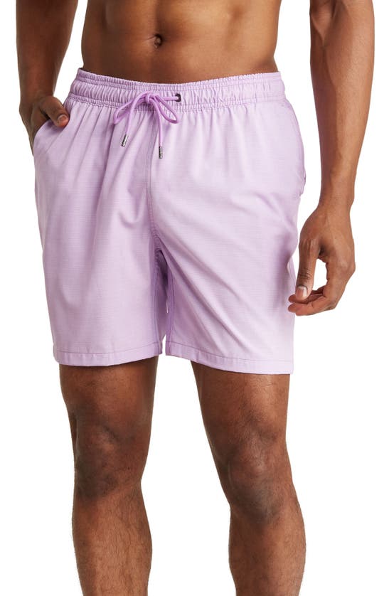 Mr.swim Mr. Swim Double Leg Shorts In Purple Striped ModeSens