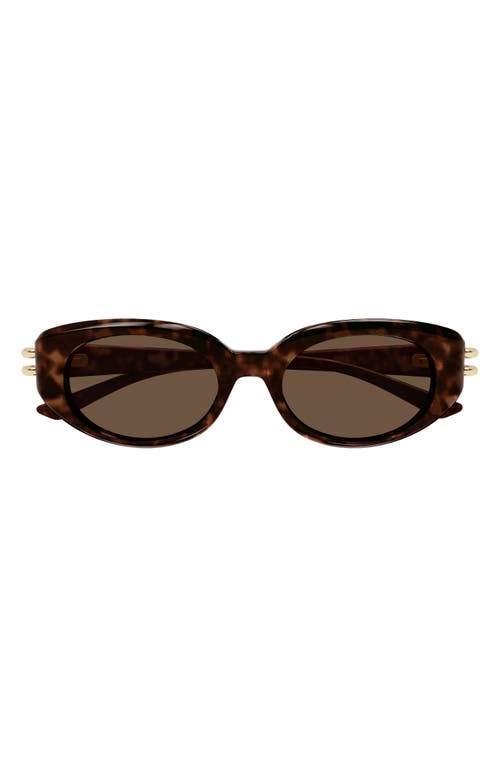 Alexander Mcqueen 50mm Round Sunglasses In Havana
