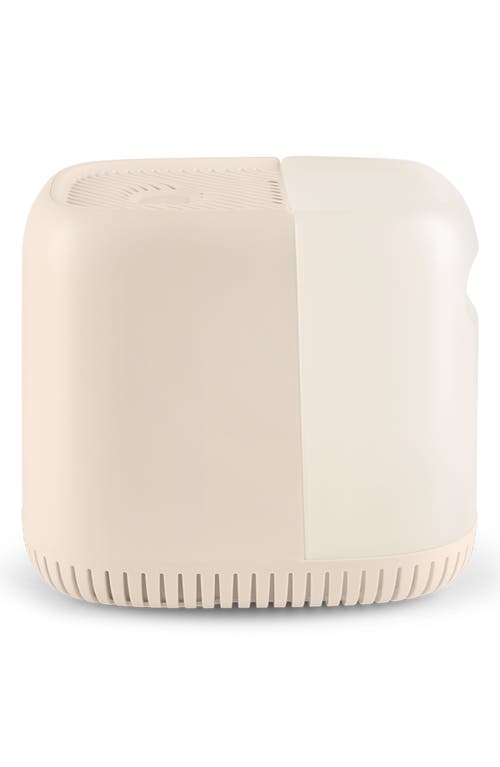 CANOPY Humidifier Starter Set in Cream at Nordstrom