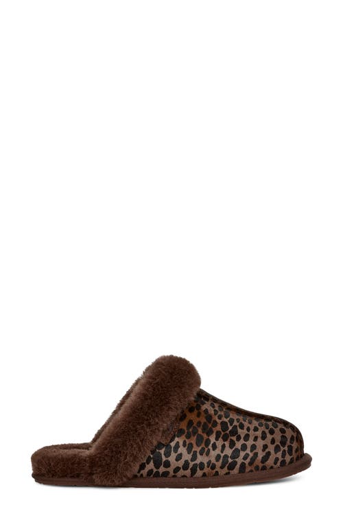 Shop Ugg(r) Scuffette Genuine Calf Hair Slipper In Burnt Cedar