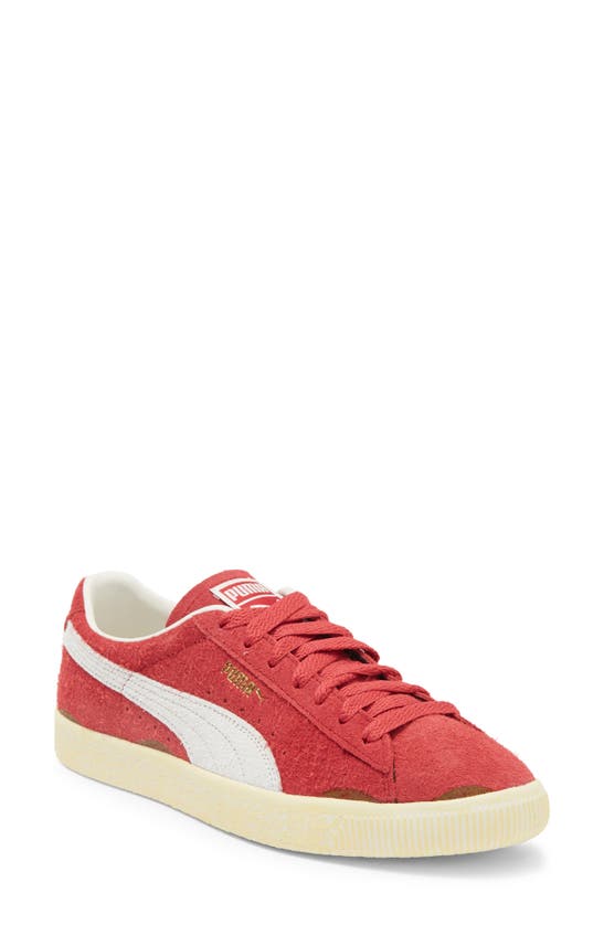 Shop Puma Suede Vtg Sneaker In Warm White-club Red