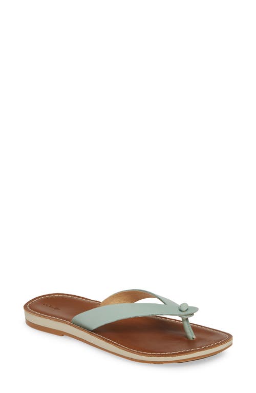 Olukai Nohie Flip Flop In Tide Blue/tan Leather