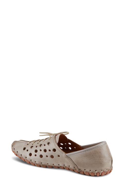 Spring Step Moonwalk Perforated Leather Shoe In Grey