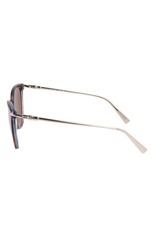 Longchamp Roseau 55mm Rectangular Sunglasses In Striped Brown
