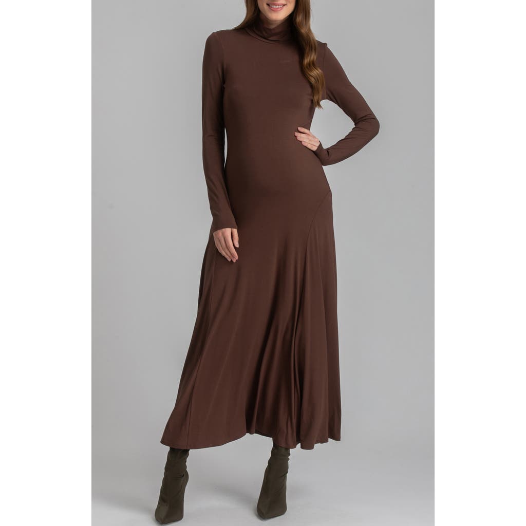 Pietro Brunelli Long Sleeve Jersey Maxi Maternity Dress In Medium Brown