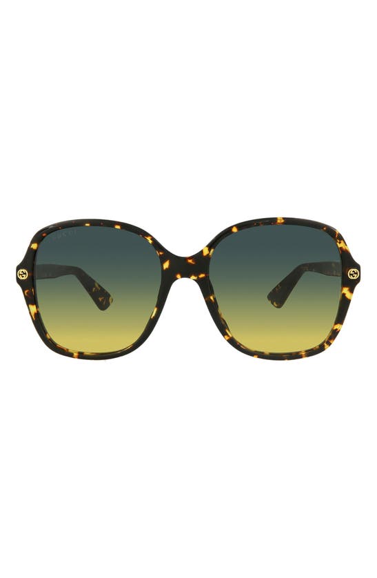 Gucci 55mm Core Oversized Sunglasses In Brown