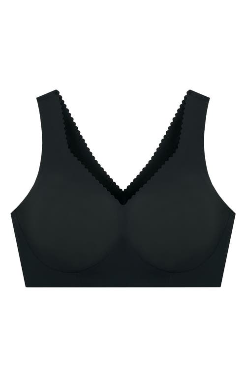Evelyn & Bobbie Women's Evelyn Bra In Black In Black