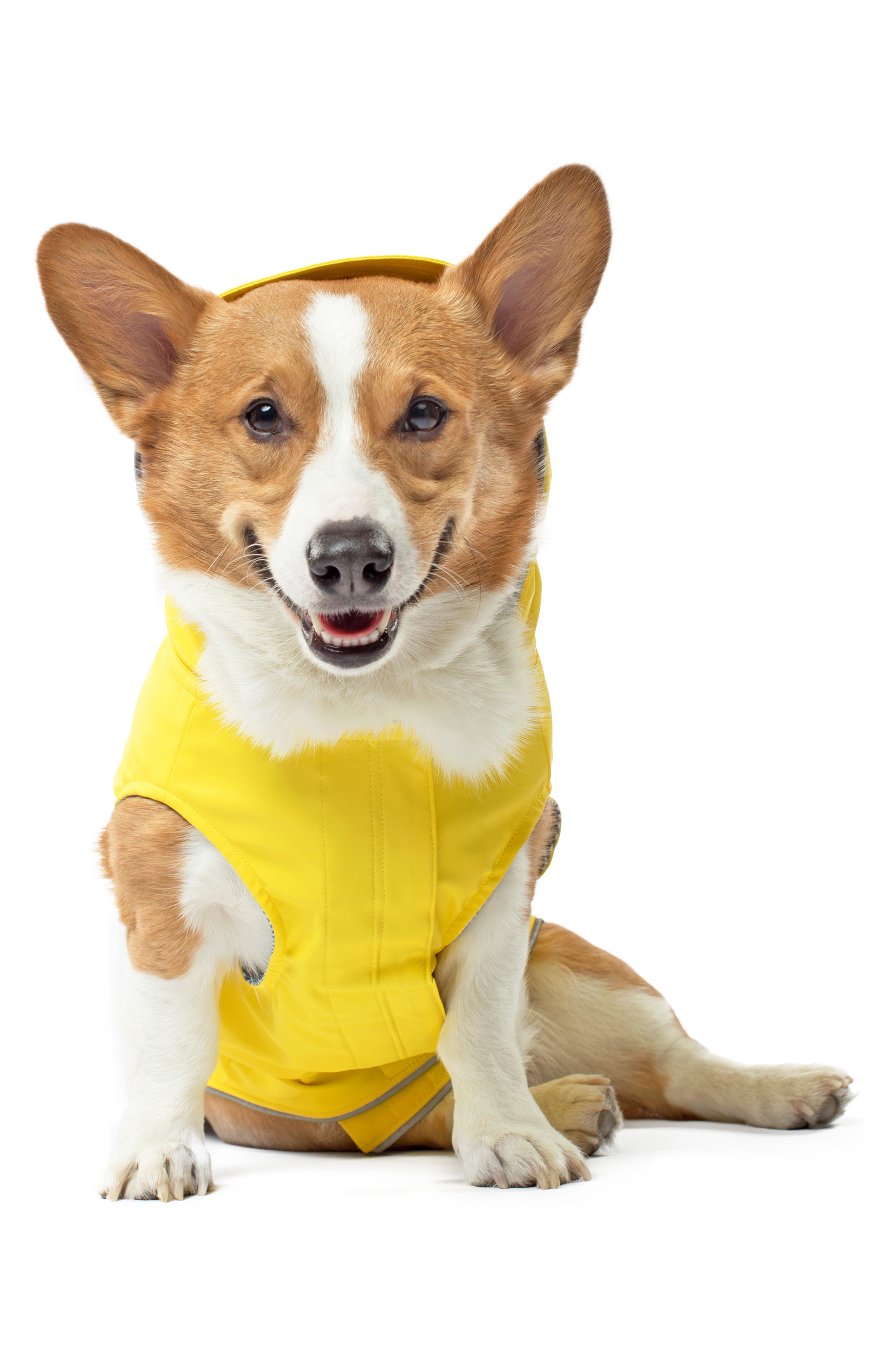 Canada Pooch Torrential Tracker Water Resistant Dog Coat, Size 10 - Yellow