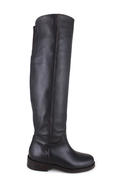 Shop Ziginy Sansa Knee High Boot In Brown