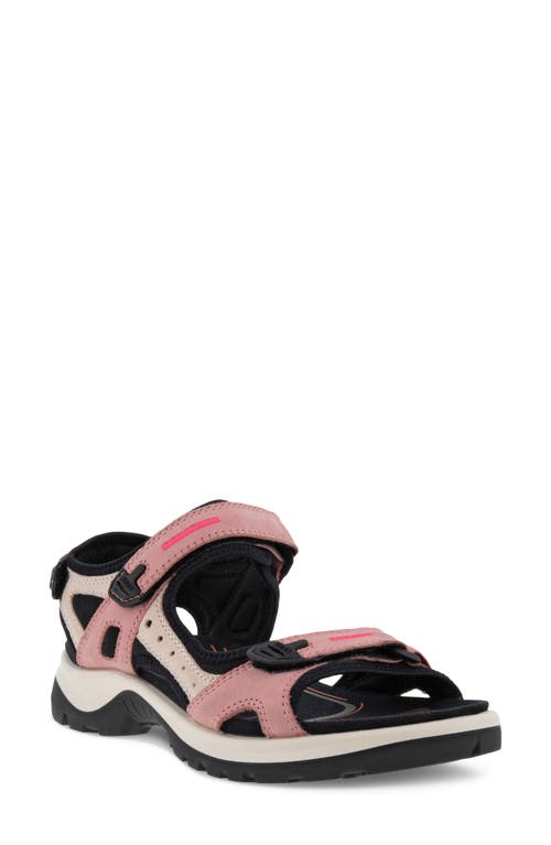 UPC 194890463011 product image for ECCO Yucatan Sandal in Damask Rose/Rose Dust at Nordstrom, Size 6-6.5Us | upcitemdb.com