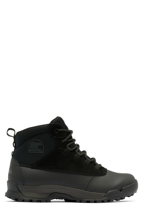 Shop Sorel Buxton Lite Plus Waterproof Boot In Black/black