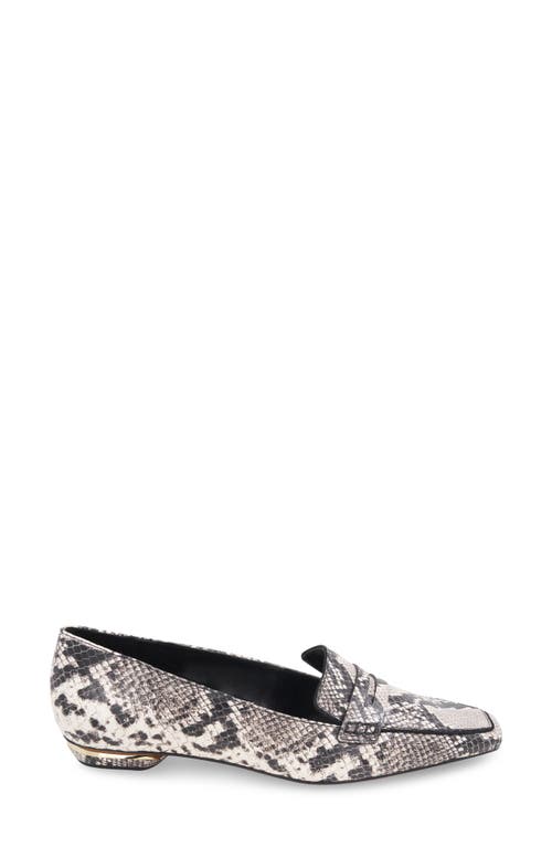 Shop Bcbg Paray Penny Loafer In Natural Snake