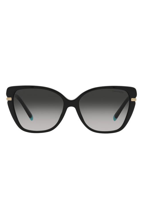 Tiffany & Co. 57mm Gradient Cat Eye Sunglasses in Black at Nordstrom
