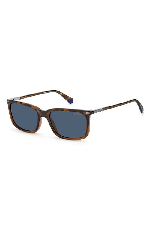 Shop Polaroid 55mm Polarized Rectangular Sunglasses In Havana Brown/blue Polar