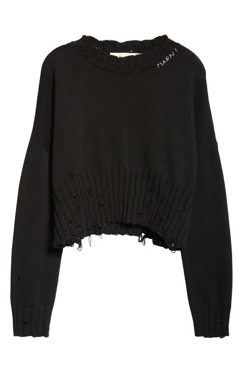 Marni Distressed Cotton Crop Sweater at Nordstrom, Us