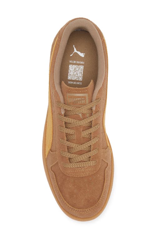 Shop Puma Indoor R-suede Sneaker In Chocolate Chip-sport Yellow